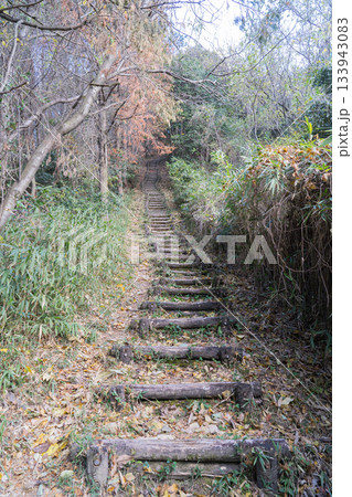 ダイヤモンドトレイル北入口から二上山へ向かう登山道(金剛山地) ダイヤモンドトレイル北入口から二上山へ向かう登山道(金剛山地) 133943083