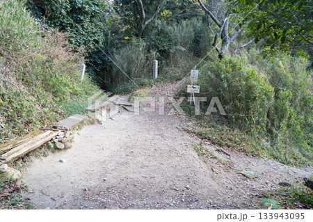 岩屋峠(金剛山地・二上山) 岩屋峠(金剛山地・二上山) 133943095