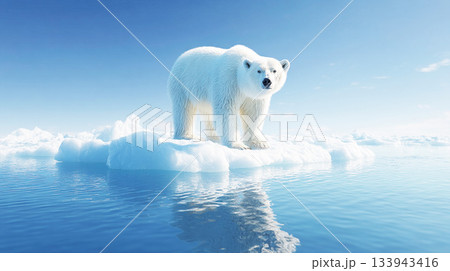 氷上に立つホッキョクグマ 133943416