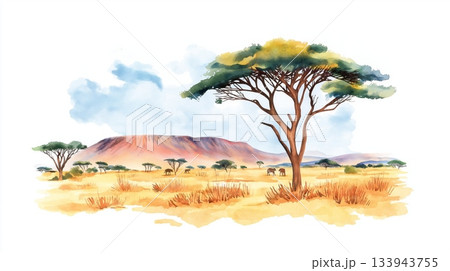 Serengeti National Park. Serengeti National Park hand drawn watercolor illustration on white background 133943755