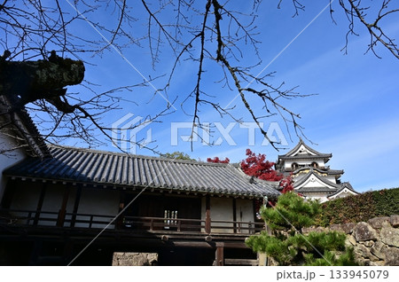 太鼓門櫓と天守閣（彦根城） 133945079