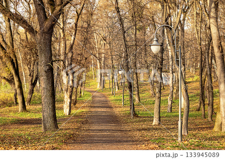 Serene autumn park path with trees and classic street lamps along a leaf-covered trail 133945089