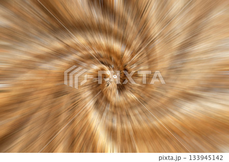 Abstract zoomed center with warm orange and brown radial pattern and wood texture 133945142