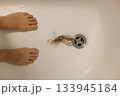 Water drain hole is clogged with long hair clump after woman taken shower. Closeup. 133945184