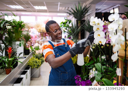 Young florist taking care of orchids in a flower shop Young florist taking care of orchids in a flower shop 133945293