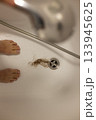 Water drain hole is clogged with long hair clump after woman taken shower. Selective focus. 133945625