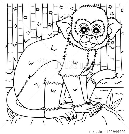 Squirrel Monkey Coloring Page for Kids 133946662