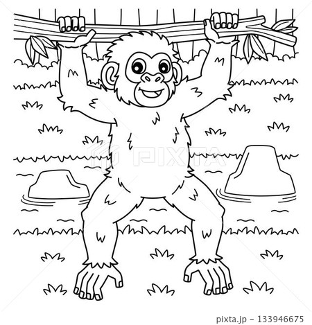 Chimpanzee Ape Coloring Page for Kids 133946675
