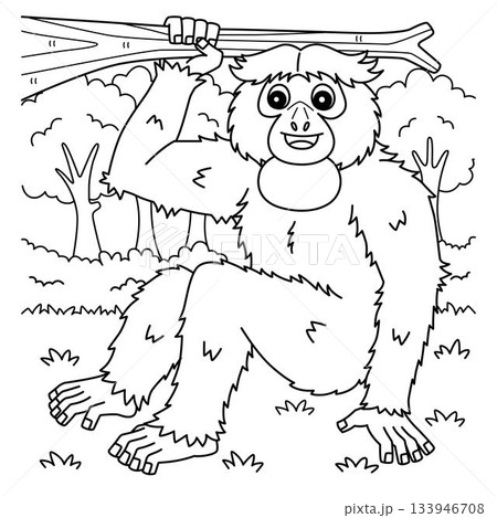 Siamang Monkey Coloring Page for Kids 133946708