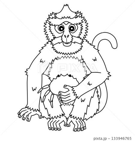 Crab Eating Macaque Monkey Isolated Coloring Page  133946765