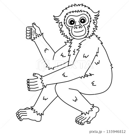 Gibbon Ape Isolated Coloring Page for Kids Gibbon Ape Isolated Coloring Page for Kids 133946812