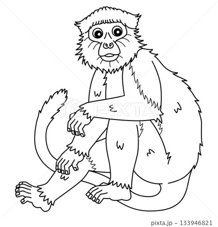 Monkey Red Colobus Isolated Coloring Page for Kids Monkey Red Colobus Isolated Coloring Page for Kids 133946821
