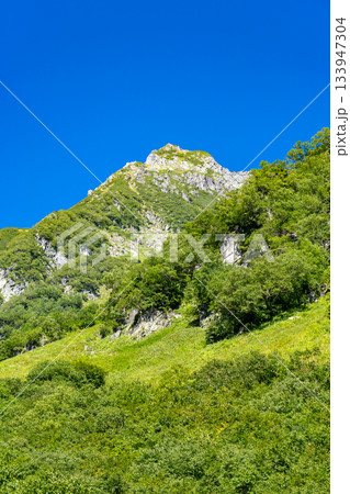 涸沢テント場から見上げる北穂高岳の南陵　北アルプスの北穂高岳登山 133947304