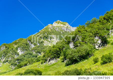 涸沢テント場から見上げる北穂高岳の南陵　北アルプスの北穂高岳登山 133947305