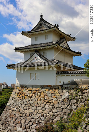 兵庫県, 明石市, 兵庫県立明石公園　明石城　巽櫓（たつみやぐら） 133947336