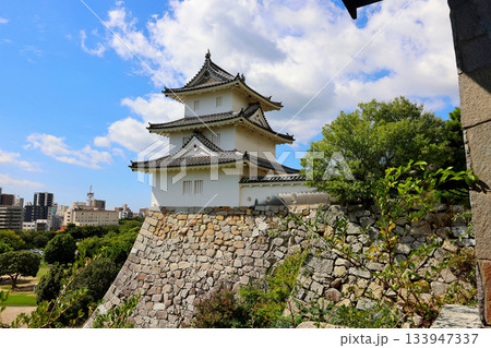 兵庫県, 明石市, 兵庫県立明石公園 明石城 巽櫓(たつみやぐら) 兵庫県, 明石市, 兵庫県立明石公園 明石城 巽櫓(たつみやぐら) 133947337