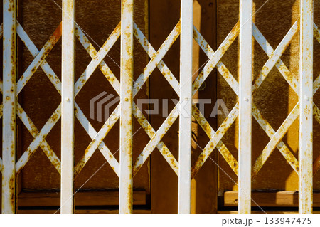 steel grid closed entrance door steel grid closed entrance door 133947475