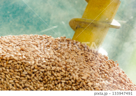 Pile of grain seeds in mixed in mixer machine Pile of grain seeds in mixed in mixer machine 133947491