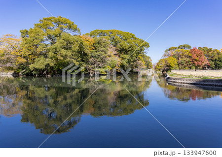 柳川のお堀に映る秋の木々 133947600