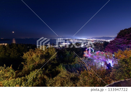 蒲郡市、ラバーズヒルから眺める夜景 133947722