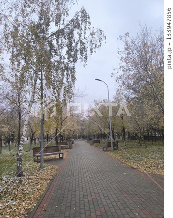 Experience the beauty of autumn with this serene park walkway. The brick path, surrounded by trees and benches, invites relaxation and showcases the charm of seasonal change. 133947856