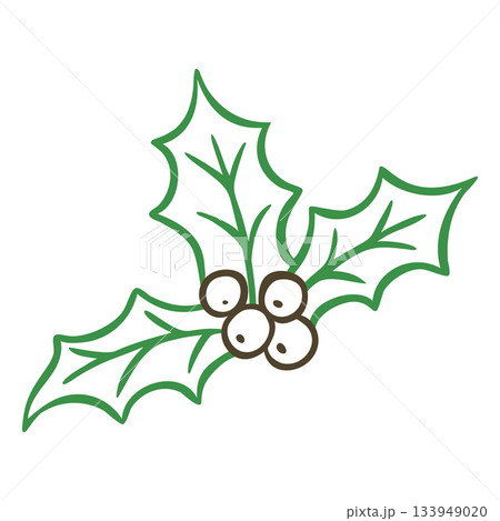 A holly branch with leaves and berries, a hand-drawn outline doodle, a Christmas decoration. 133949020