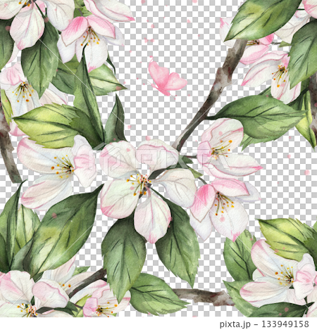 Delicate seamless watercolor pattern with apple blossoms and green leaves. Romantic floral design featuring pink butterfly on white background. Elegant botanical illustration for wallpaper and fabric 133949158
