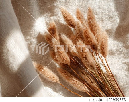 Dried floral stems in warm sunlight on textured background Dried floral stems in warm sunlight on textured background 133950878