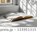 Open blank book in sunlight 133951315