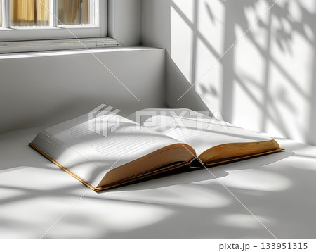 Open blank book in sunlight Open blank book in sunlight 133951315