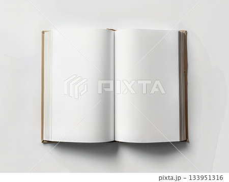 Open blank book in sunlight Open blank book in sunlight 133951316