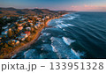 Aerial Tropical Beach District 133951328