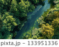 Aerial River Through Green Forest 133951336