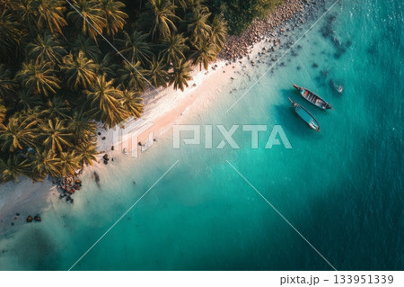Tropical Beach Boats Aerial View 133951339