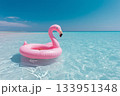Pink Flamingo Float on Turquoise Sea 133951348