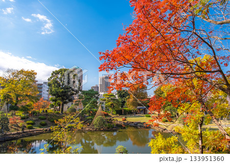 東京都文京区 紅葉の肥後細川庭園 東京都文京区 紅葉の肥後細川庭園 133951360