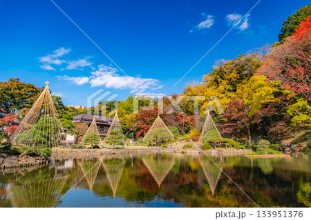 東京都文京区 紅葉の肥後細川庭園 133951376