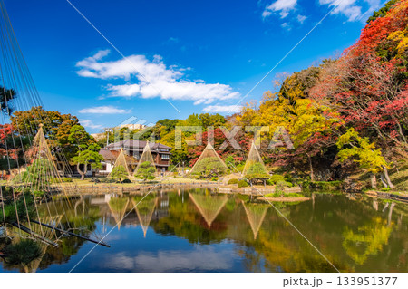 東京都文京区 紅葉の肥後細川庭園 133951377