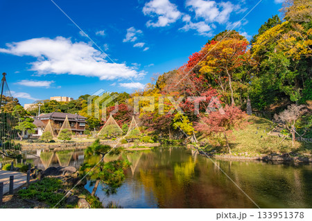 東京都文京区 紅葉の肥後細川庭園 133951378