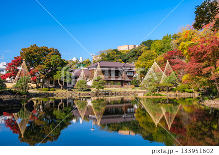 東京都文京区 紅葉の肥後細川庭園 東京都文京区 紅葉の肥後細川庭園 133951602