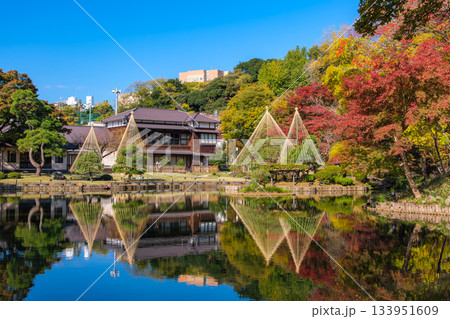 東京都文京区 紅葉の肥後細川庭園 133951609