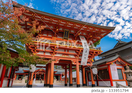 兵庫県神戸市 生田神社、楼門 兵庫県神戸市 生田神社、楼門 133951794