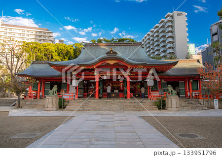 兵庫県神戸市 生田神社、拝殿 兵庫県神戸市 生田神社、拝殿 133951796