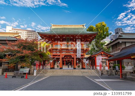 兵庫県神戸市 生田神社、楼門 兵庫県神戸市 生田神社、楼門 133951799