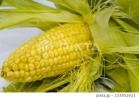 Ear of corn 133952011