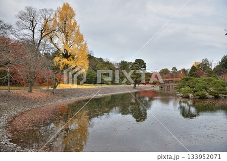 秋の京都仙洞御所　南池　洲浜と八ッ橋(京都市上京区) 133952071