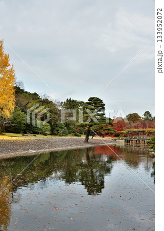 秋の京都仙洞御所　南池　洲浜と八ッ橋(京都市上京区) 133952072