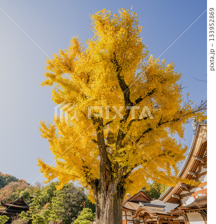 秋の虎渓山永保寺境内の景色 秋の虎渓山永保寺境内の景色 133952869