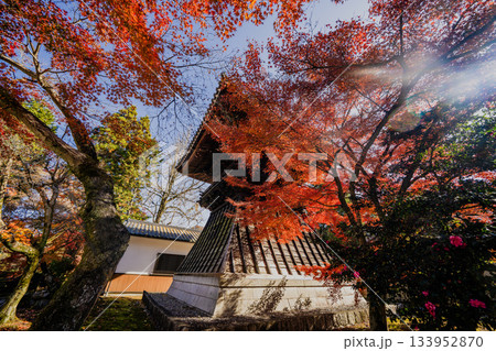 秋の虎渓山永保寺境内の景色 133952870