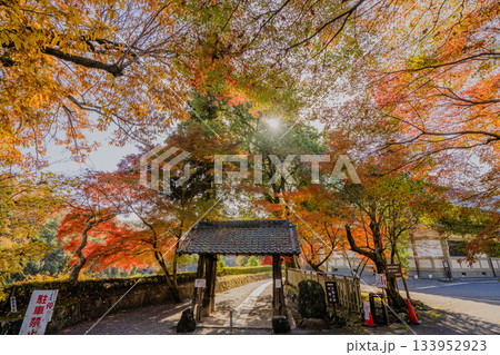 秋の虎渓山永保寺境内の景色 133952923